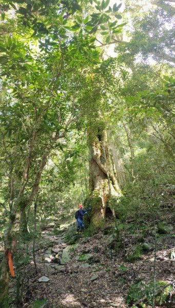 🥵20231107南一段會繞過🤷忘記的溪南山2340112