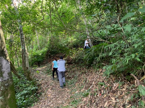 惠蓀林場渉水步道與山嵐小徑1043097