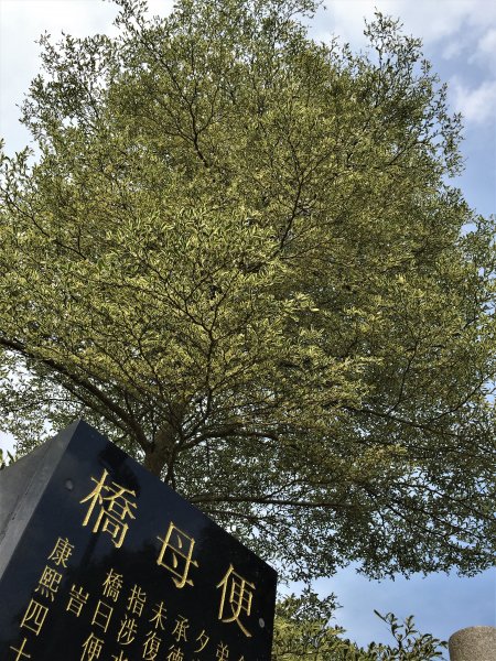 HK - 雞公嶺938849