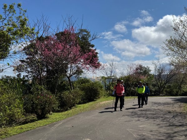 二格山走南邦寮山經草湳福德宮回二格公園3005499