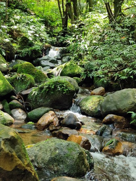 淡蘭北2+1逆走二刷2772766