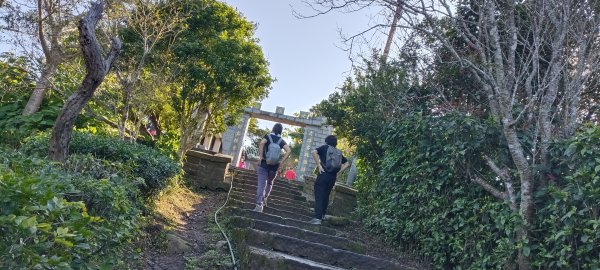 20240113_硬漢嶺步道(觀音山)2401543