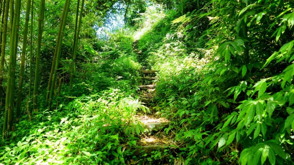 猴崁古道。盧特訪積2773316