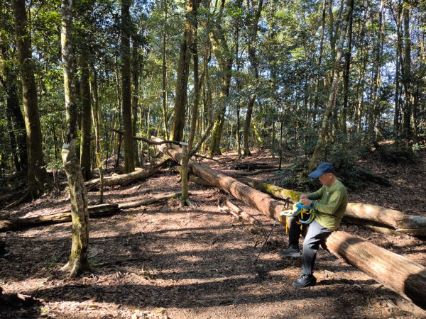 2025-12-21 武界山、獅凸魯山、橫屏山、橫屏山西峰2969688