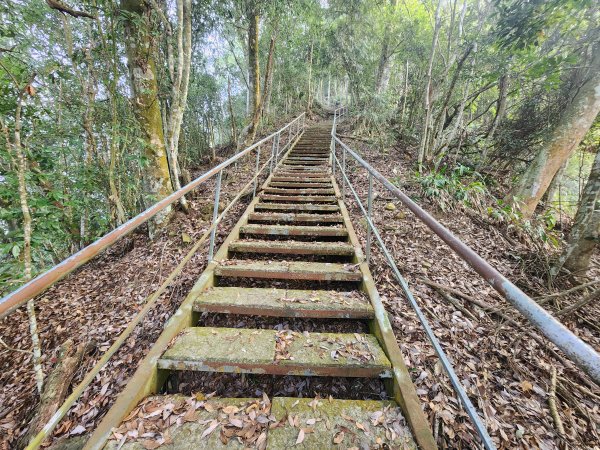 20260321貓頭山西關刀山能高瀑布O型