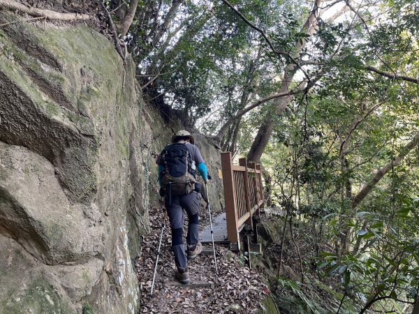 1141207金童山2957717