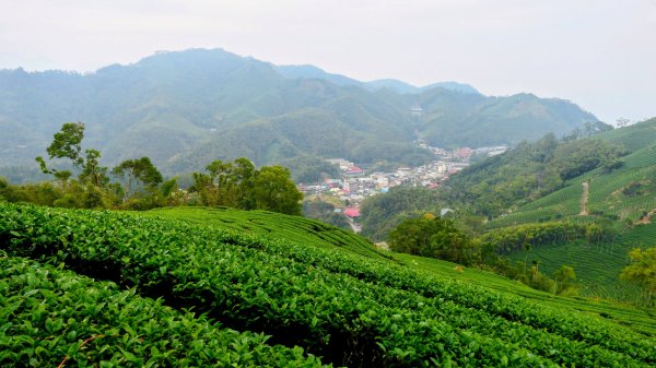 雲嘉五連峰2948647