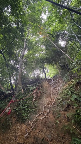 大雨後🙄2845391