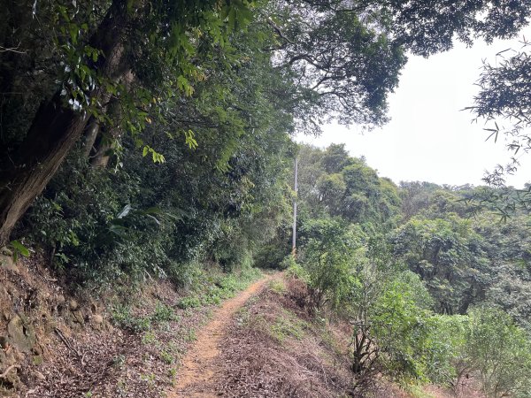 [皮皮獅探險隊-04/10] 2025_0706 三段崎古道2831750