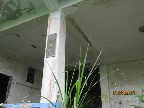 紅淡山步道907495