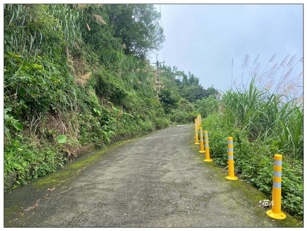 後棟仔山 O型路線2833444