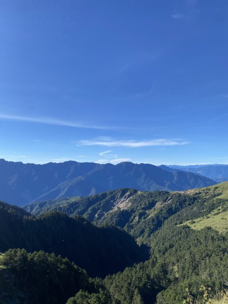 合歡山東峰3065449