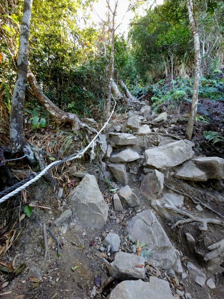 白毛山-谷關七雄(老六)3015212