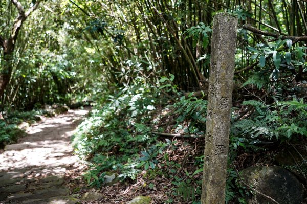 台北大縱走第一段｜忠義山＋清天宮3058376