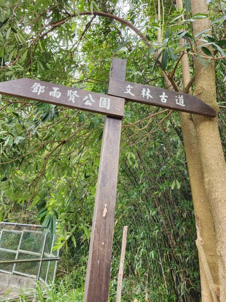 112/2/23龍鳳連稜2148188