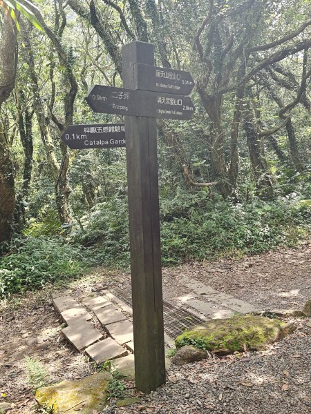 2026-0323 台北大縱走第一段3022627