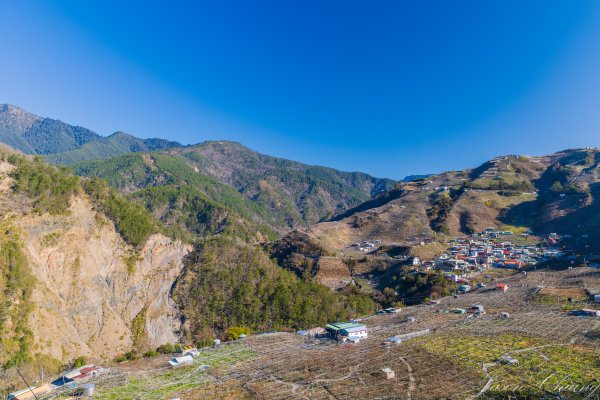 福壽山千櫻園櫻花盛開2724920