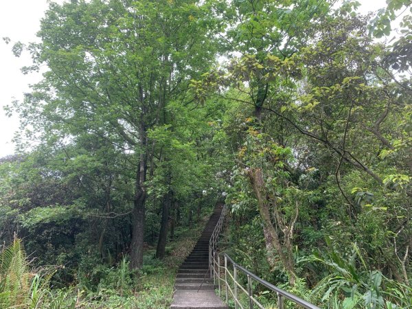 瑪陵坑群峰（七堵車站O型）2760787