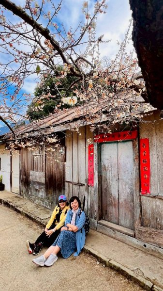 🌈1/17（六）蔡家古厝賞梅×梅子夢工廠×車埕老街✨FB：熊熊趴爬走🌈2983931