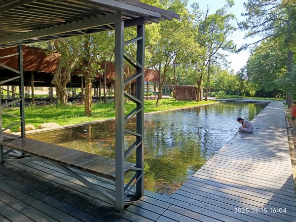 霄裡好風光永安漁港美食一日遊2814724