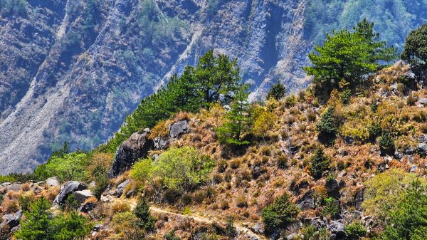 112.04.16 玉山前峰2123748