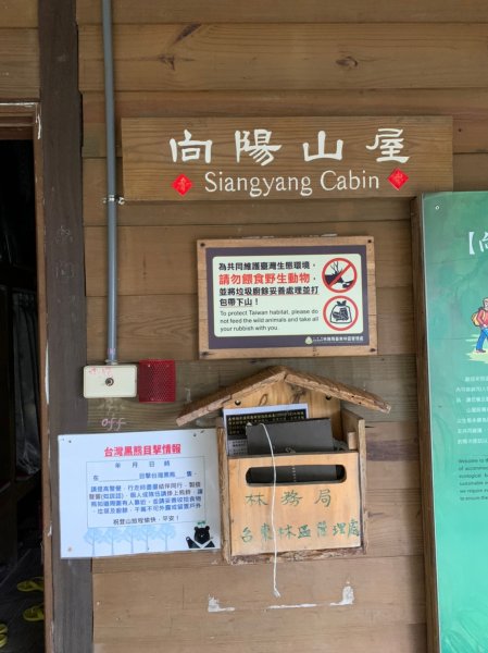 20220625台東海端向陽山、向陽山北峰、三叉山、嘉明湖1745527