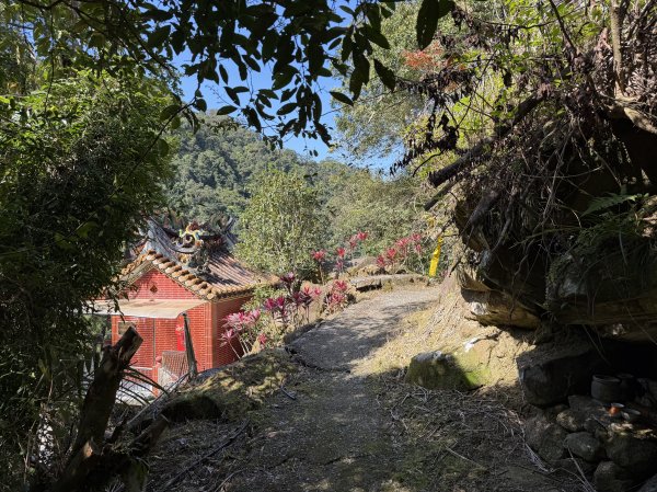 [淡蘭古道] 2026_0315 南路第三段_四分子古道3016929