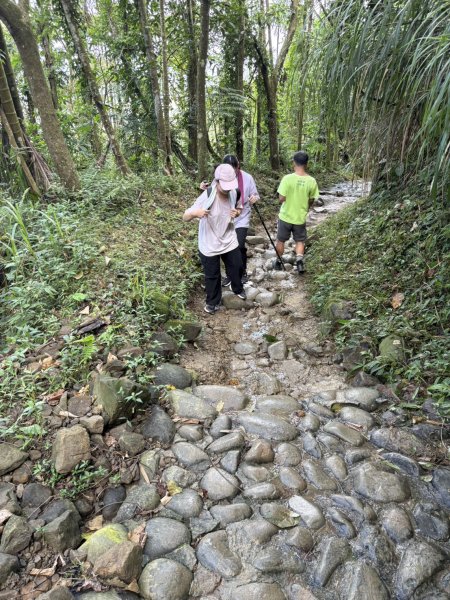 20250830台南關仔嶺大凍山步道2914693