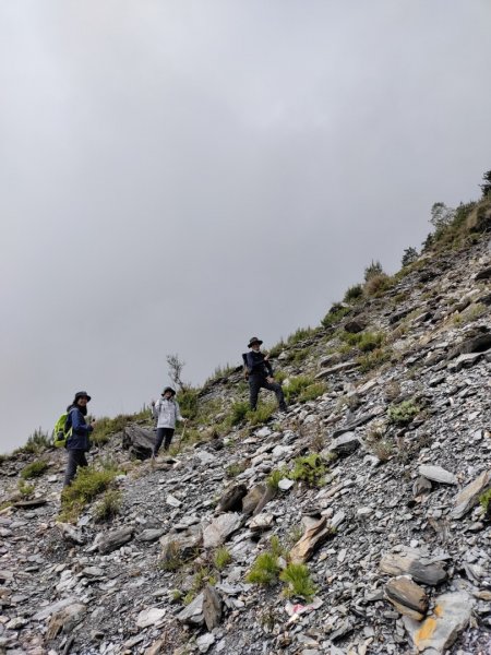 ⛰️南橫三星✨關山嶺山🌲🌲🌲漫漫行😆😆😆1716995