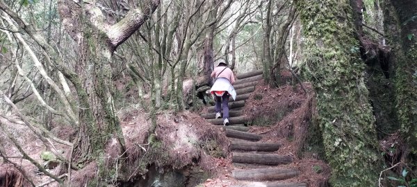 20250114東埔山；20250115二延平步道2693809