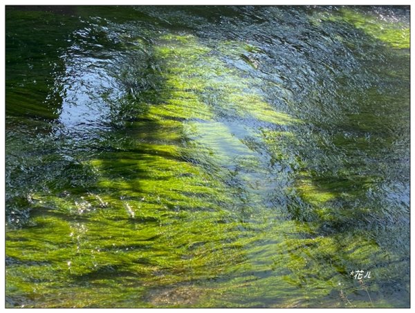 銀河洞瀑布、待老坑山、樟湖山、樟山 連走2791786