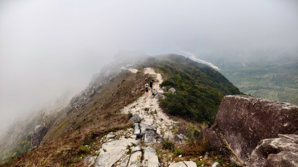 【海外健行】香港四徑 The Four Trails3031660