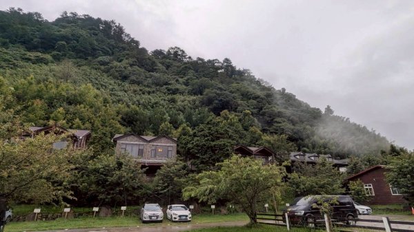 司馬庫斯巨木步道2861078