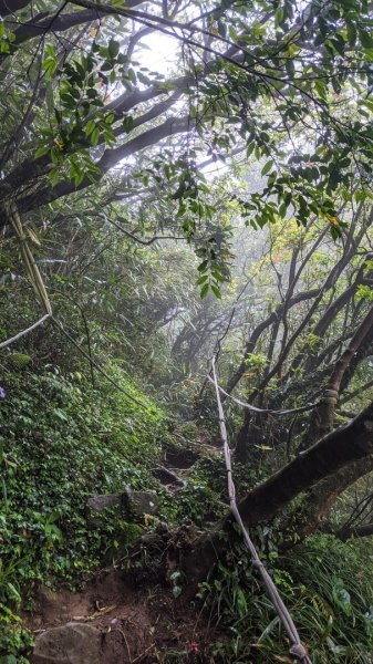 小觀音山西西峰 - 西峰 - 北峰935485