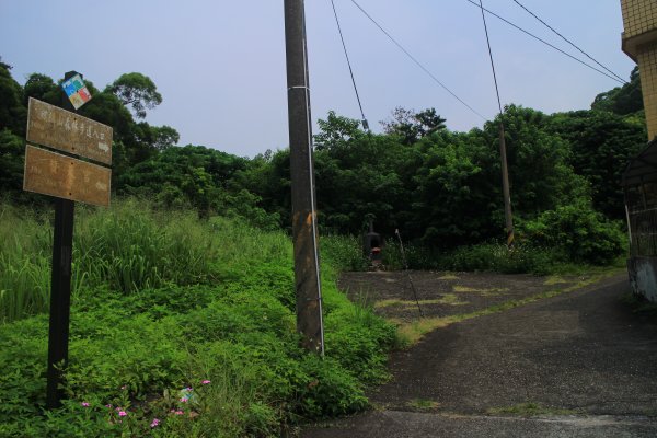 田中麒麟山森林步道 20190913691106