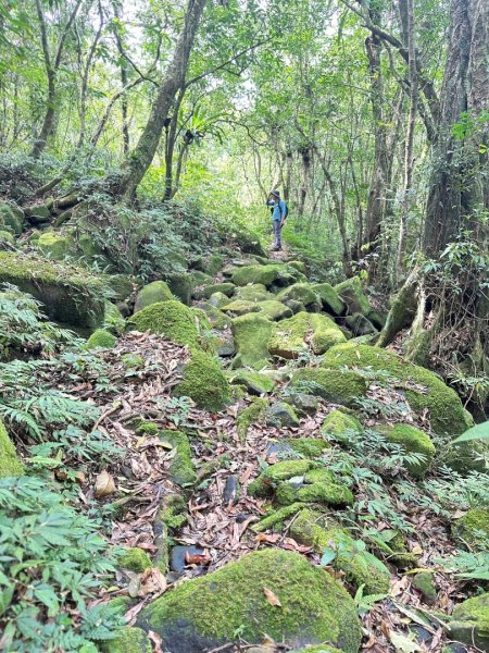 胡桶古道、梳妝樓山Ｏ走2461571