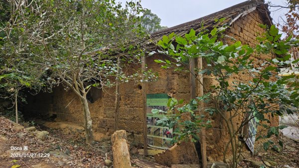 20260127三通嶺山.三義山(大桁茂山).慈濟山.大坪山大O走2989945