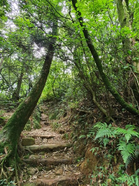 【擎天崗】探訪百名山-磺嘴山1385694