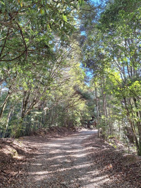 雪見駐在所+雪見山202512252971626