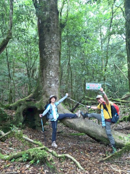 觀雪縱走~大園登山協會2828649