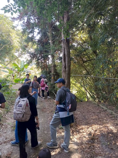 穿霧隘勇線-中三鹿2991738