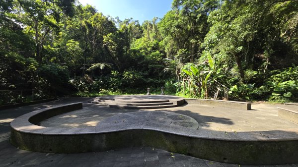 一次解鎖二任務，山頂鳥百山百鳥及新北市微笑山線和美山螢火蟲段2859424