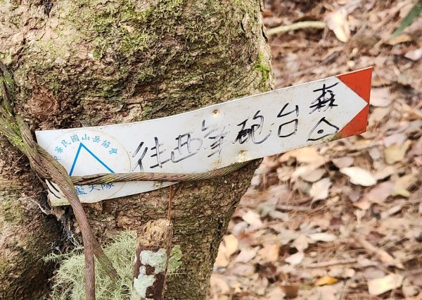 【中級山】芝生毛台山，芝生毛台山西峰，秀巒軍艦岩，屯野生步道，屯野生砲台2745135