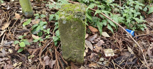 2025/04/04_加里山登山步道2755055