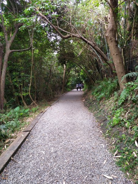 天母水管路步道(天母古道)1099015