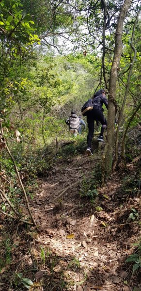 太武山-斗門登山古道560210