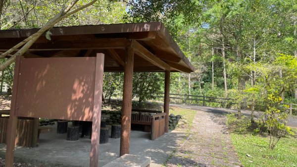 樟之細路-尋寶💎任務1-53019794