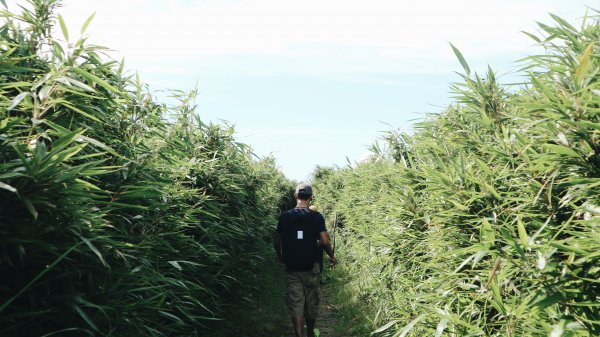 大屯山O型|一起來走陽明山縱走西段1004980