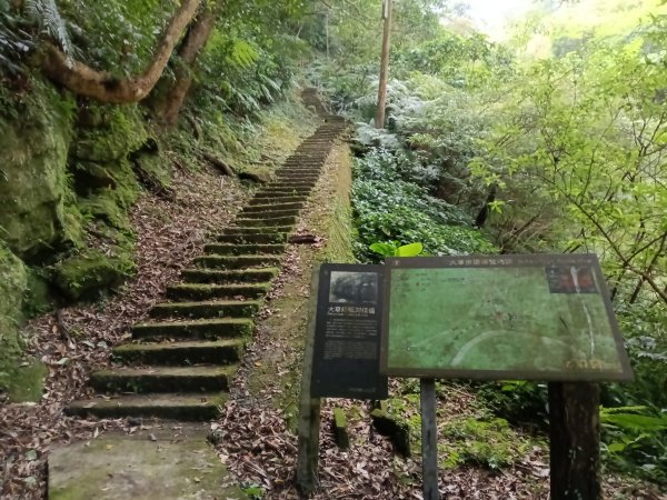 平溪區大華步道+幼坑古道+幼坑崙(大華車站-三貂嶺車站)2925171