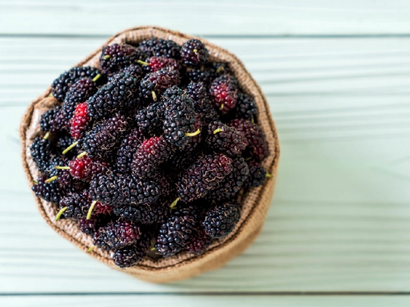 桑葚好處有哪些 抗老防癌增加身體抵禦力 網誌 運動筆記